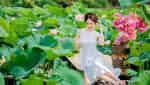 Tra Ly lotus pond-3