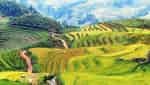 シンチャイ村-8
