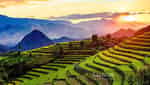 Tam Duong terraced fields-1