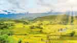 Tam Duong terraced fields-2