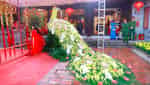 Lễ hội truyền thống Từ Lương Xâm-7