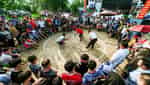 Lễ hội đền Chín Gian-1