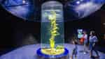 Lotte World Hanoi Aquarium-6
