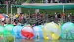 Thu Le Park