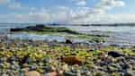 Ban Than - Hon Mang - Hon Dua scenic spots-3