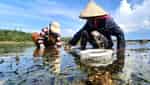 Ban Than - Hon Mang - Hon Dua scenic spots-4