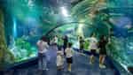 Lotte World Hanoi Aquarium