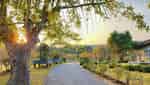 Da Lat Tien Canh Soc Son-1