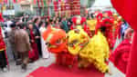 Lễ hội truyền thống làng An Hạ