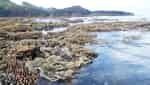 An Cuong fishing village-1