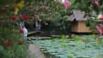 Vietnam Ornamental Botanical Park-5
