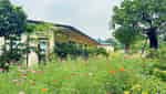 Da Lat Tien Canh Soc Son-5