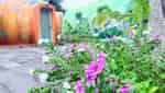 Da Lat Tien Canh Soc Son