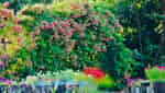 박마 마을-7
