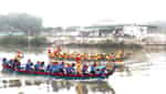 Lễ hội Cầu ngư-4