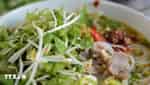 Hue - Capital of Cuisine 2026: Hue Beef Noodles Day-1