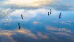太平无边海-9