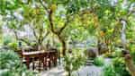 Vietnam Ornamental Botanical Park-9
