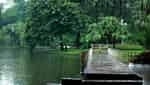 Thu Le Park-6