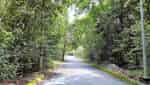 Kien An Forest revolutionary base