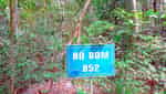 Kien An Forest revolutionary base