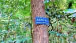 Kien An Forest revolutionary base