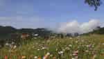 Xom Mung 花山-6