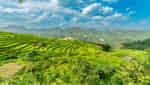 Thác Hiêu Pù Luông-1