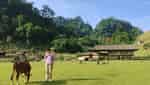 ハンタウの「原始」村-2