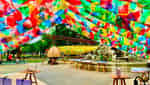 Vườn hoa Diên Hồng-9