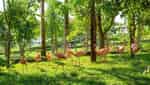 Muong Thanh Green Land Dien Lam-4