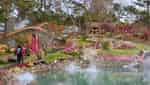 Lac Hu Ancient Town-7