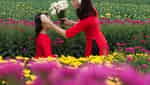 Ha Lung Flower Village-4