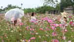 Ha Lung Flower Village-5