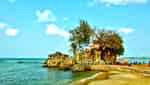 Dinh Cau Festival - Festival of praying for a good harvest of Phu Quoc people-3