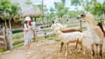 Muong Thanh Green Land Dien Lam-7