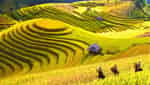 Bản Ý Linh Hồ Sapa-1