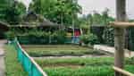5Ku Farm