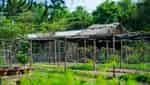 5Ku Farm-7