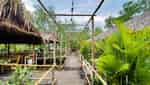 5Ku Farm-8