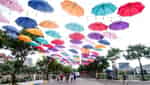Nhat Tan tourist area-3