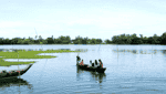 Bến đò Tứ Tổng