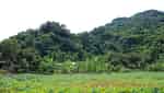 Trung Do Ancient Citadel