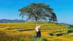 Xom Mung 花山-8