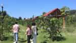 Yasmin Farm-2