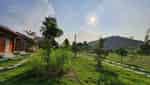 Yasmin Farm-5