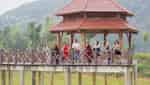 Yasmin Farm-6