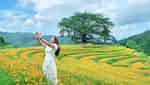 Xom Mung 花山-9