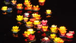 Lantern Festival (Mid-Autumn Festival)
