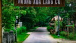 Lễ hội Thanh Phước